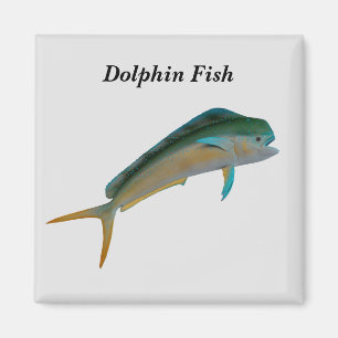 Imán Pescado delfín