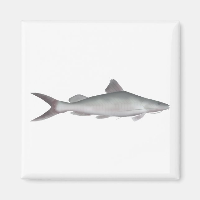 Imán Pescado gigante (Frente)