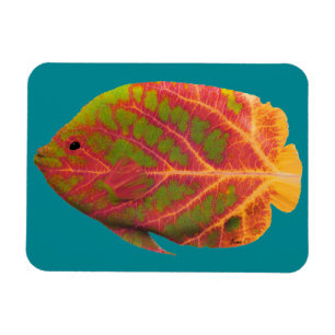 Imán Pescado tropical de hoja de ave 1