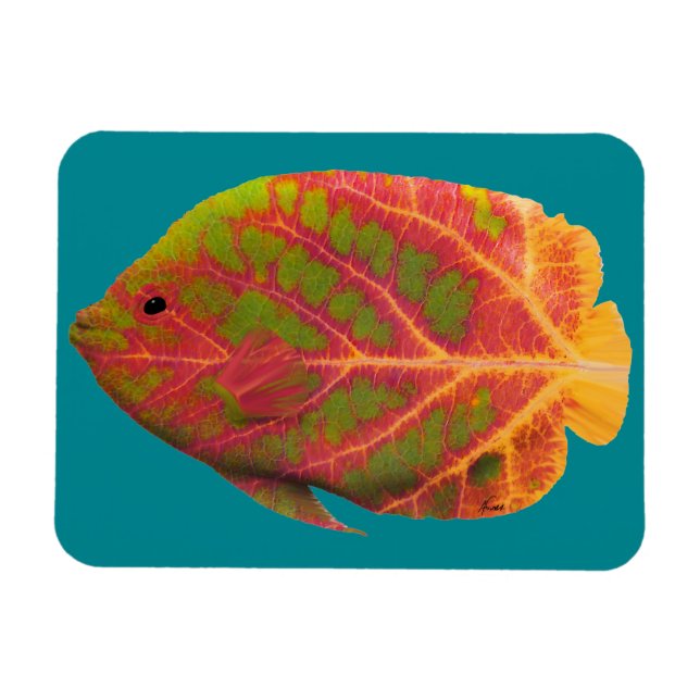 Imán Pescado tropical de hoja de ave 1 (Horizontal)