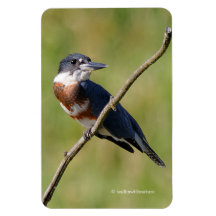 Pescadora de bizcocho en una extremidad