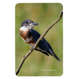 Imán Pescadora de bizcocho en una extremidad