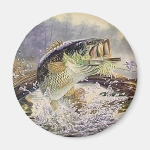 Imán pescados bajos