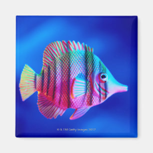 Imán Pescados tropicales