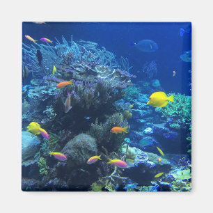Imán Pescados tropicales amarillos