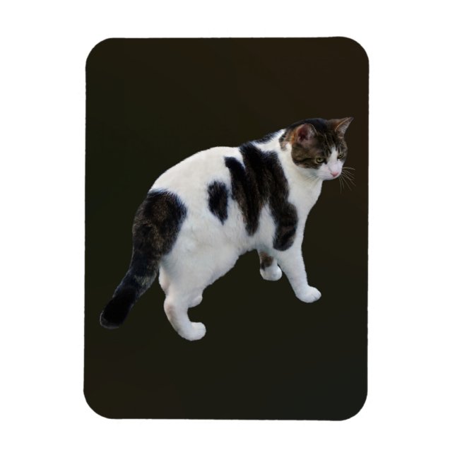 Imán Pestaña Blanca Con Parches Oscuros (Vertical)