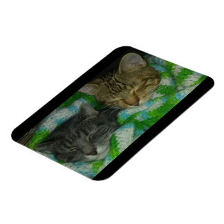 Imán Petales y Corduroy