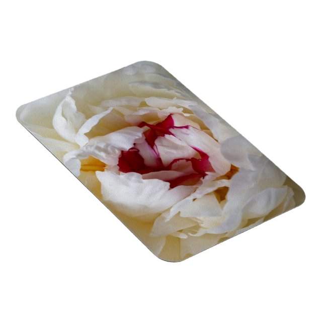 Imán Pétalos de Peony (Lado Derecho)