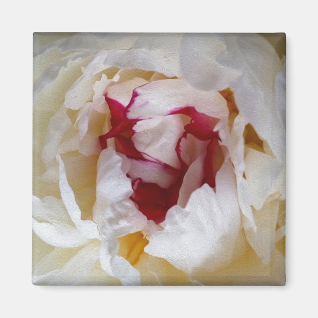 Imán Pétalos de Peony (Frente)