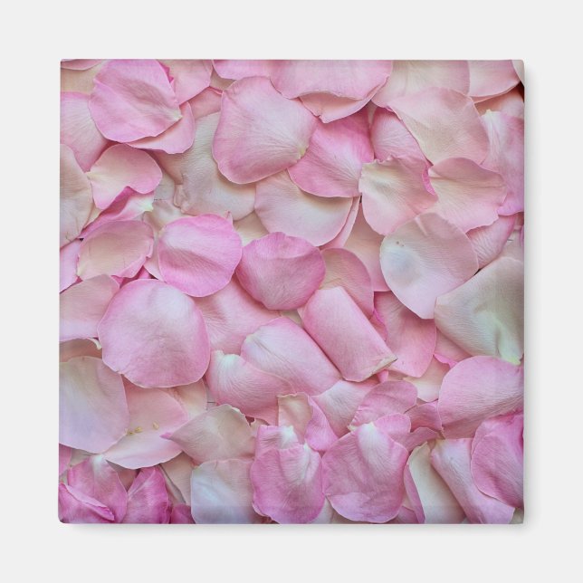 Imán Pétalos rosa rosados (Frente)