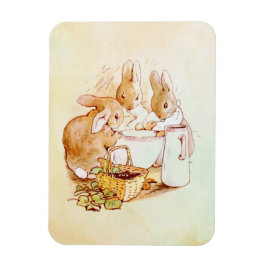 Imán Peter Rabbit Beatrix Potter