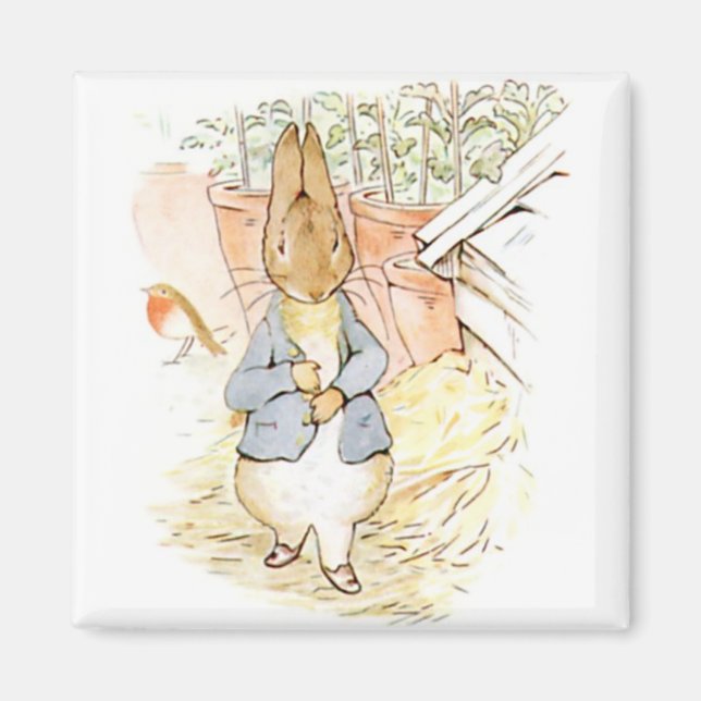 Imán Peter Rabbit en el jardín (por Beatrix Potter) (Frente)