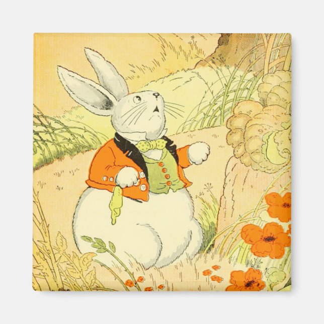 Imán Peter Rabbit Magnet (Frente)