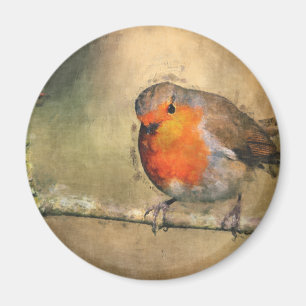 Imán Petirrojo Redbreast
