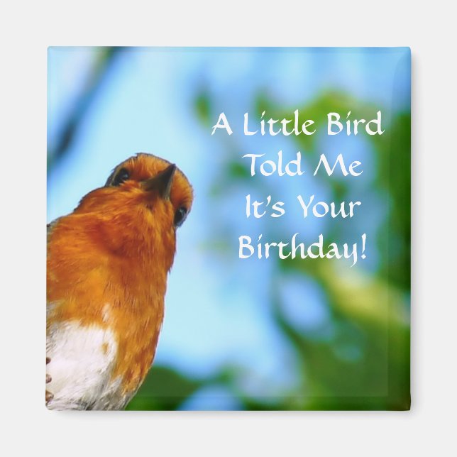 IMÁN PETIRROJOS (Frente)