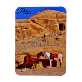 Imán Petra