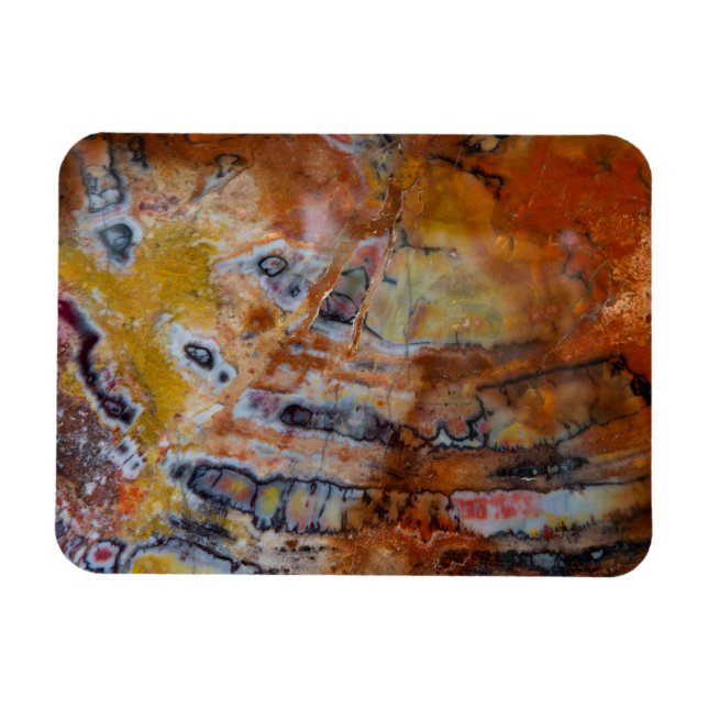 Imán Petrified Wood Brown (Horizontal)