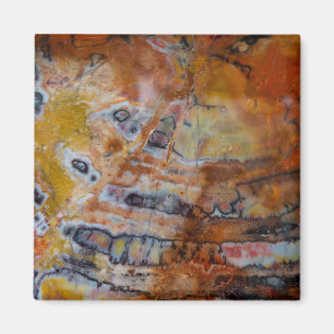 Imán Petrified Wood Brown