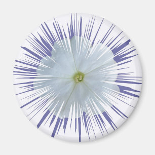 Imán Petunia Starburst