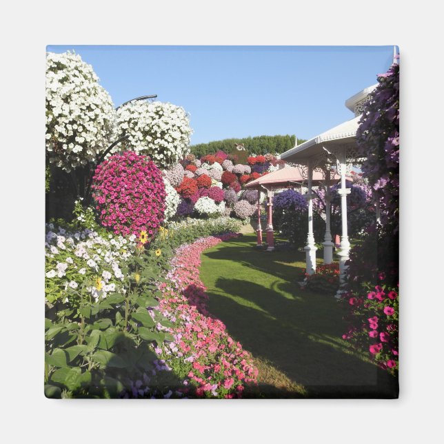 Imán Petunias Magnet (Frente)