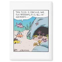 Pez buscando casa con muchas Anémonas 