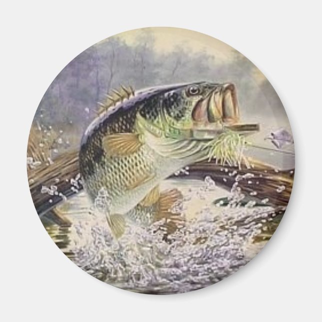 Imán pez lobo (Frente)