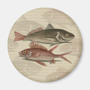 Imán Pez Lubina Roja Pescador Arte
