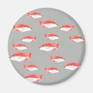 Imán Pez rojo y gris