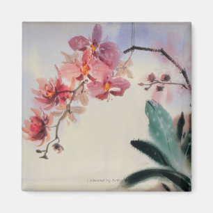 Imán Phalaenopsis