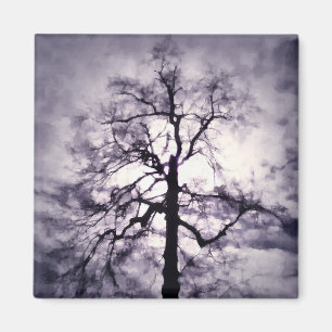 Imán Phantastes Magnet