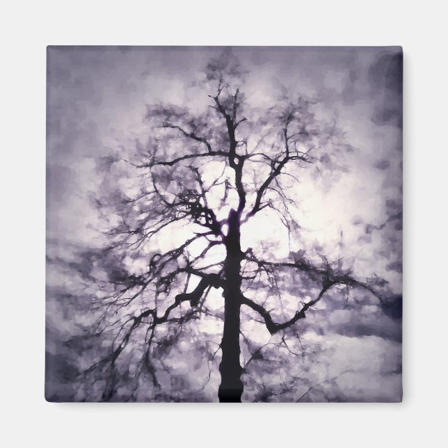 Imán Phantastes Magnet (Frente)