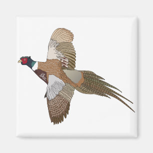 Imán Pheasant