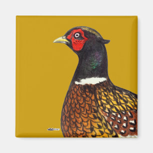 Imán Pheasant Head Ringneck