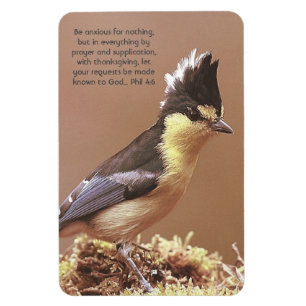 Imán "Phil 4:6" Fé de oración de la ansiedad