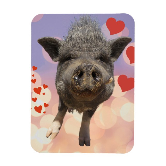 Imán Phil Día de San Valentín Magnet (Vertical)