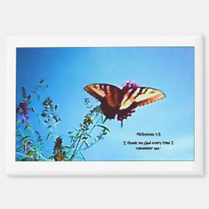 Imán Phillipians con mariposa amarilla magnética 1:3