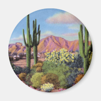 Imán Phoenix Arizona Camelback