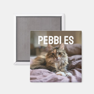 Imán PhotoPop Mascota Personalizada Foto