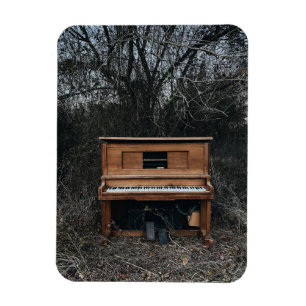 Imán Piano cuto