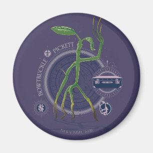 Imán PICKETT™ El gráfico BOWTRUCKLE™