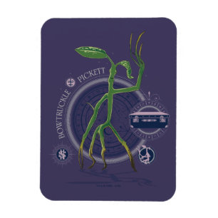 Imán PICKETT™ El gráfico BOWTRUCKLE™
