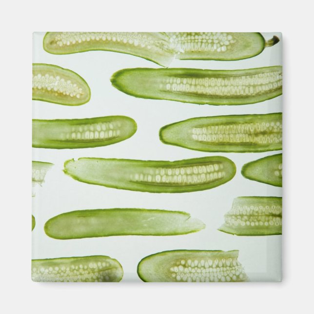 Imán Pickles Green (Frente)