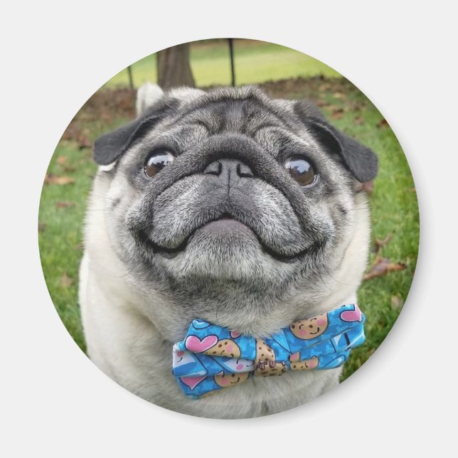 Imán Pickles Magnet (Frente)