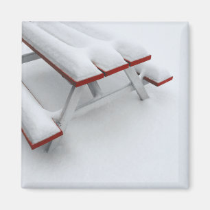 Imán picnic de nieve