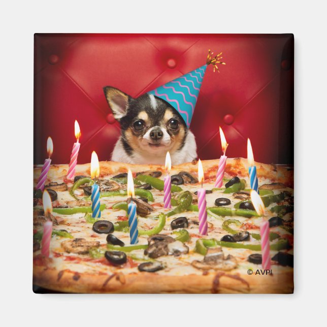 Imán Pie de pizza de cumpleaños de Chihuahua (Frente)