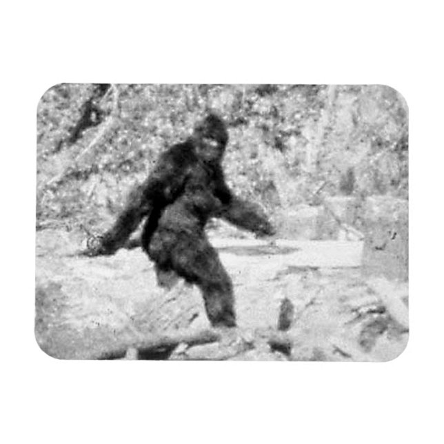 Imán Pie grande (Horizontal)