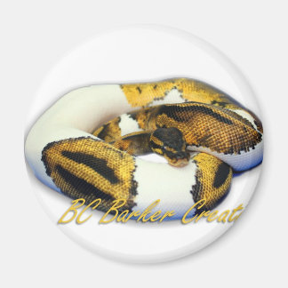 Imán Piebald Ball Python