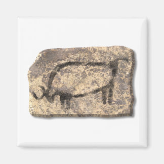 Imán Piedra de toro