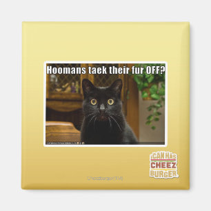 Imán ¿Piel de Hoomans Taek allí APAGADO?