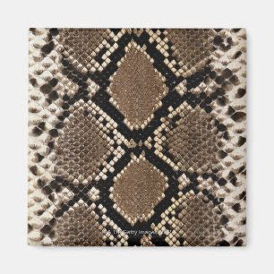 Imán Piel de serpiente